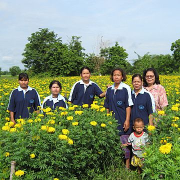 Rural Women's Development